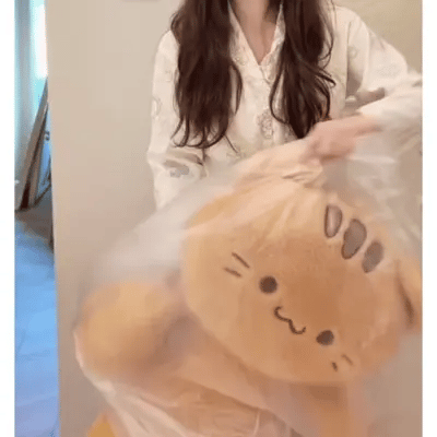 Giant Silly Cat Pillow + Plushie